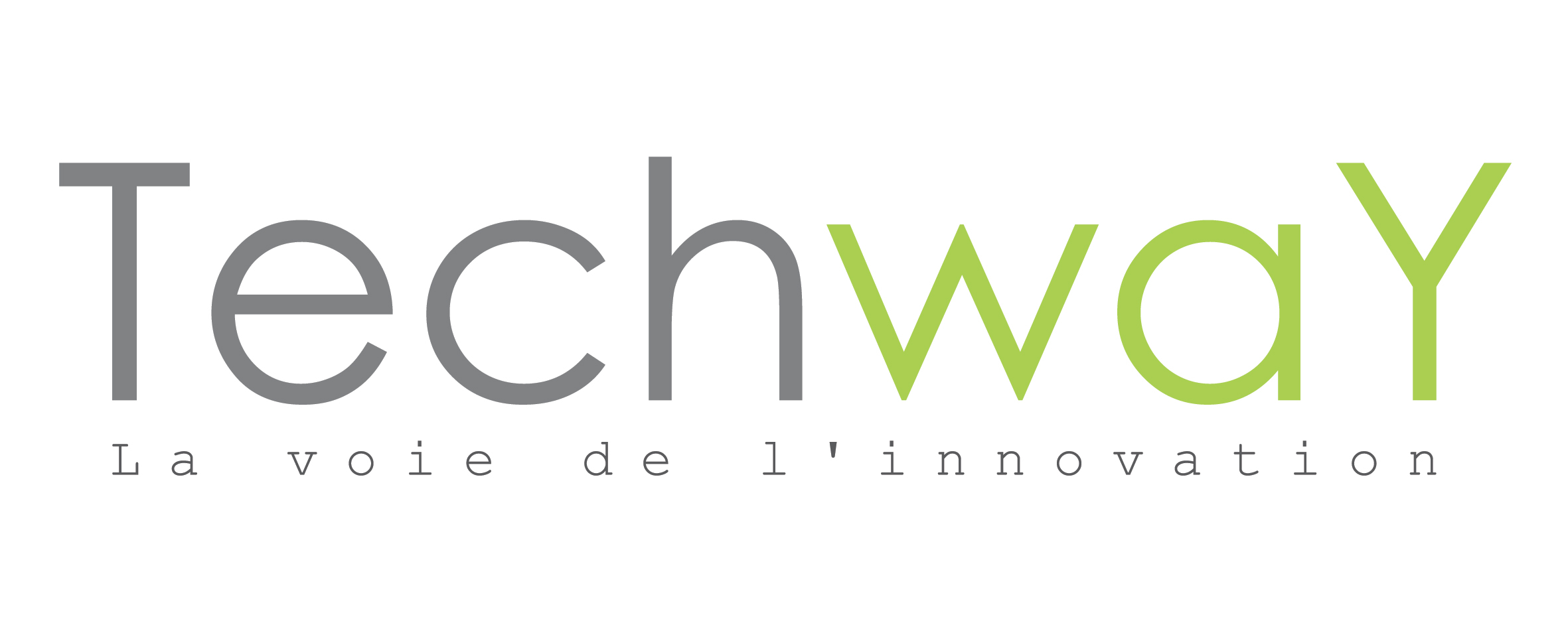 Logo Techway_FR
